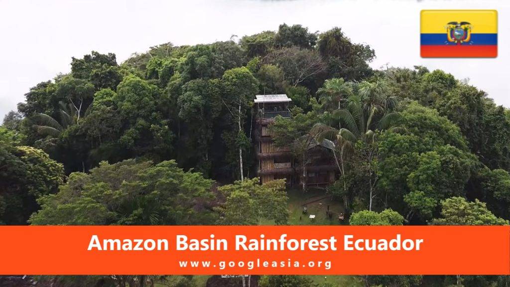 Amazon Basin Rainforest Ecuador