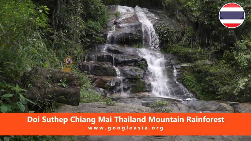 Doi Suthep Chiang Mai Thailand Mountain Rainforest