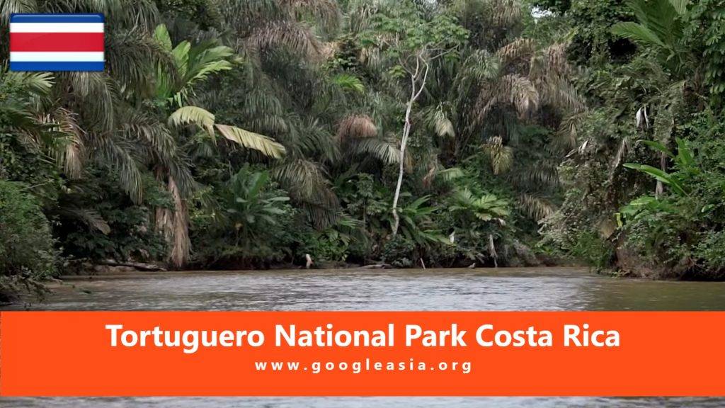 Tortuguero National Park Costa Rica