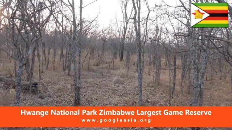 Hwange National Park Zimbabwe Largest Game Reserve